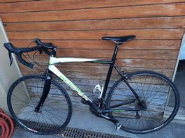 Rennvelo Racer Endurance 3