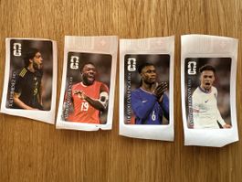 Panini Coca Cola Sticker