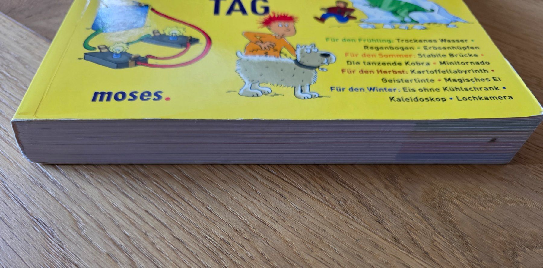 Libri: Buch "365 Experimente Für Jeden Tag" – Nuovo (secondo la descrizione) da Richterswil venduto da Rem2011 3
