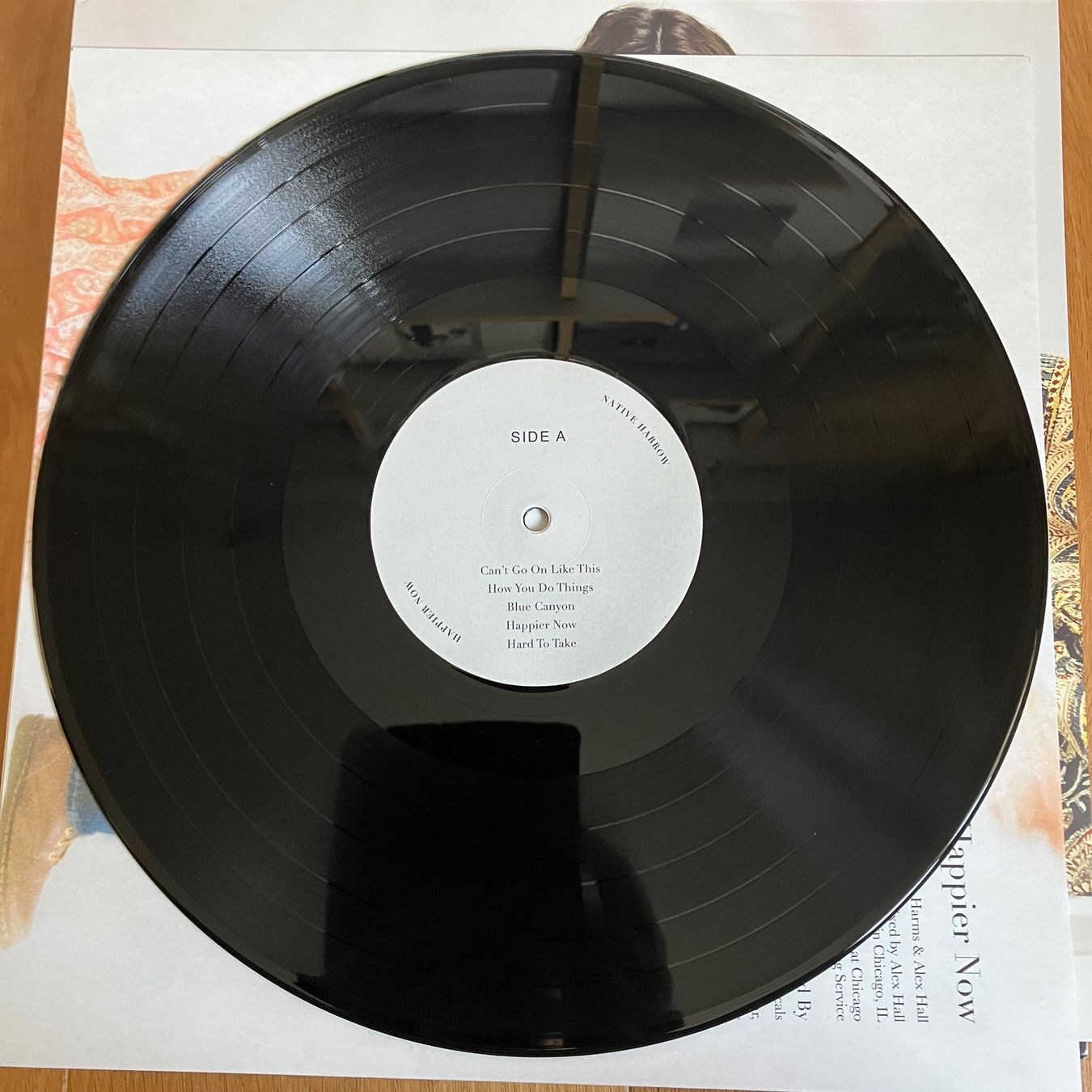 Dischi in vinile: Native Harrow – Happier Now – Usato da Altdorf UR venduto da Metallic0 1