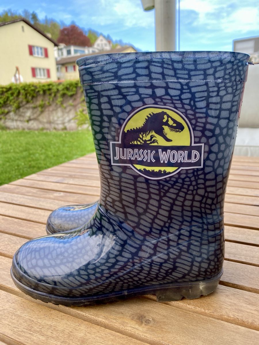 Scarpe per ragazzi: Regenstiefel (Dino) – Usato da Thalwil venduto da val_bm5t