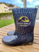 Regenstiefel (Dino)