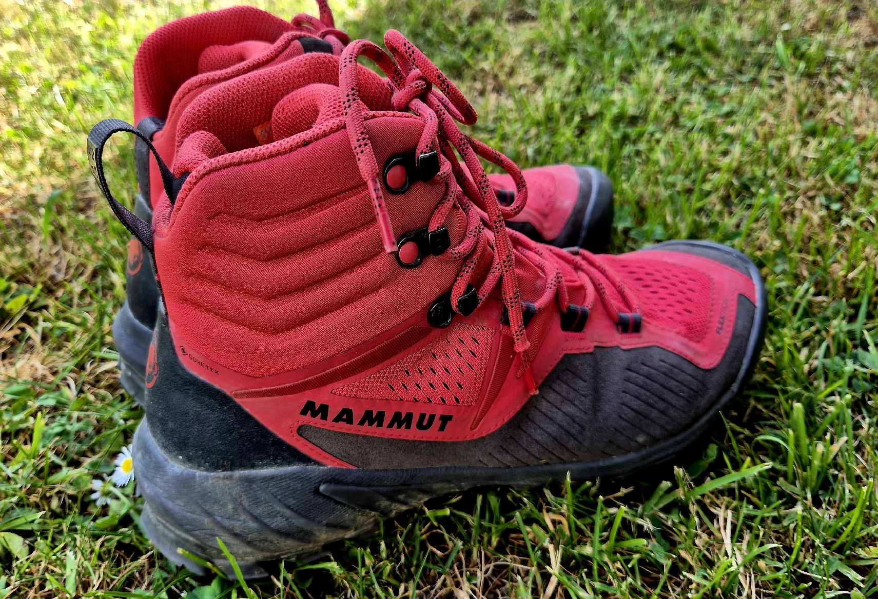 Mammut Scarpe da uomo: Mammut Sapuen High GTX Wanderschuhe – Usato da Rikon im Tösstal venduto da Shaggy03 1