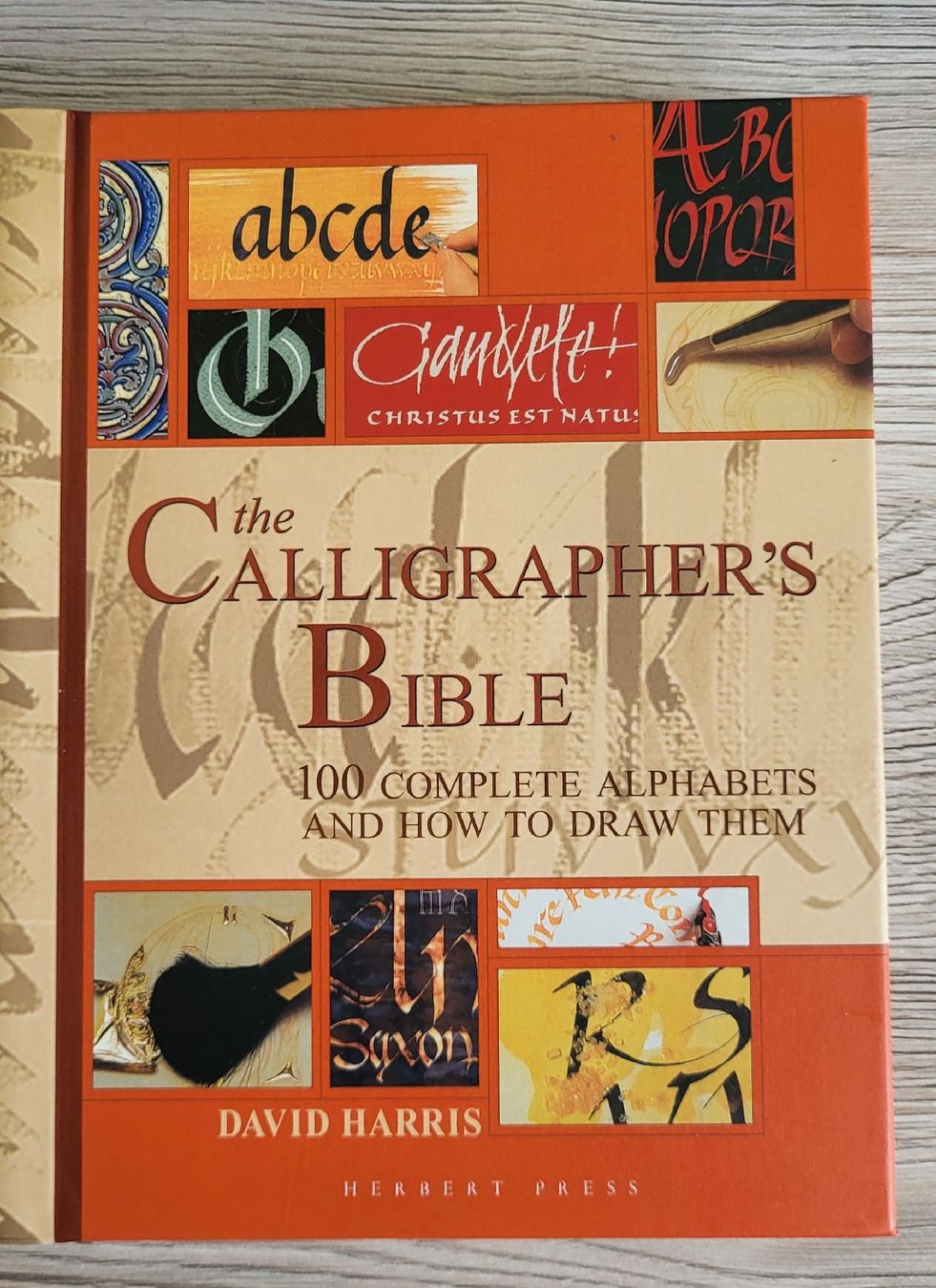 Libri: Calligrapher's Bible – Nuovo (secondo la descrizione) da Bern venduto da Jayless