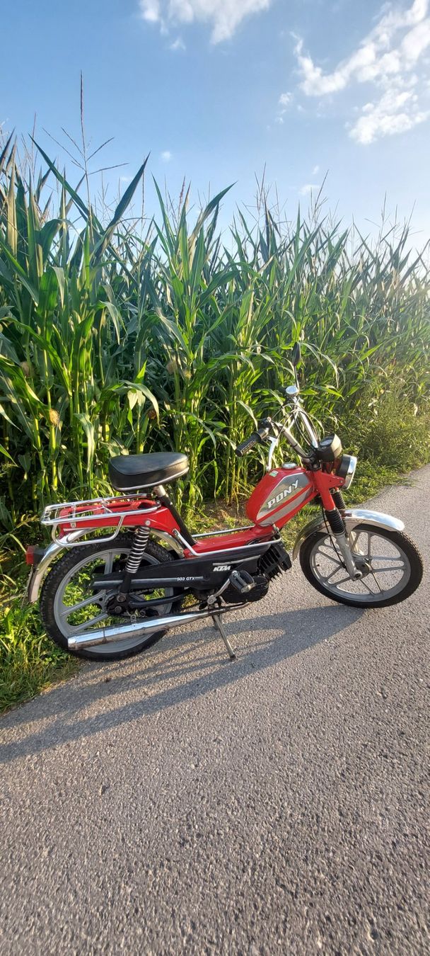 Pony Mofas: Mofa Pony – Gebraucht aus Giswil von Stocki02