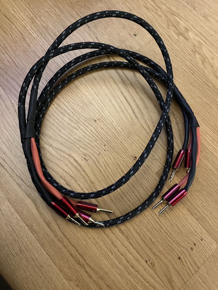 Casse acustiche: XTZ 93.23 speakers & Zeus Audio cables – Usato da Zürich venduto da oas_8xnz 4