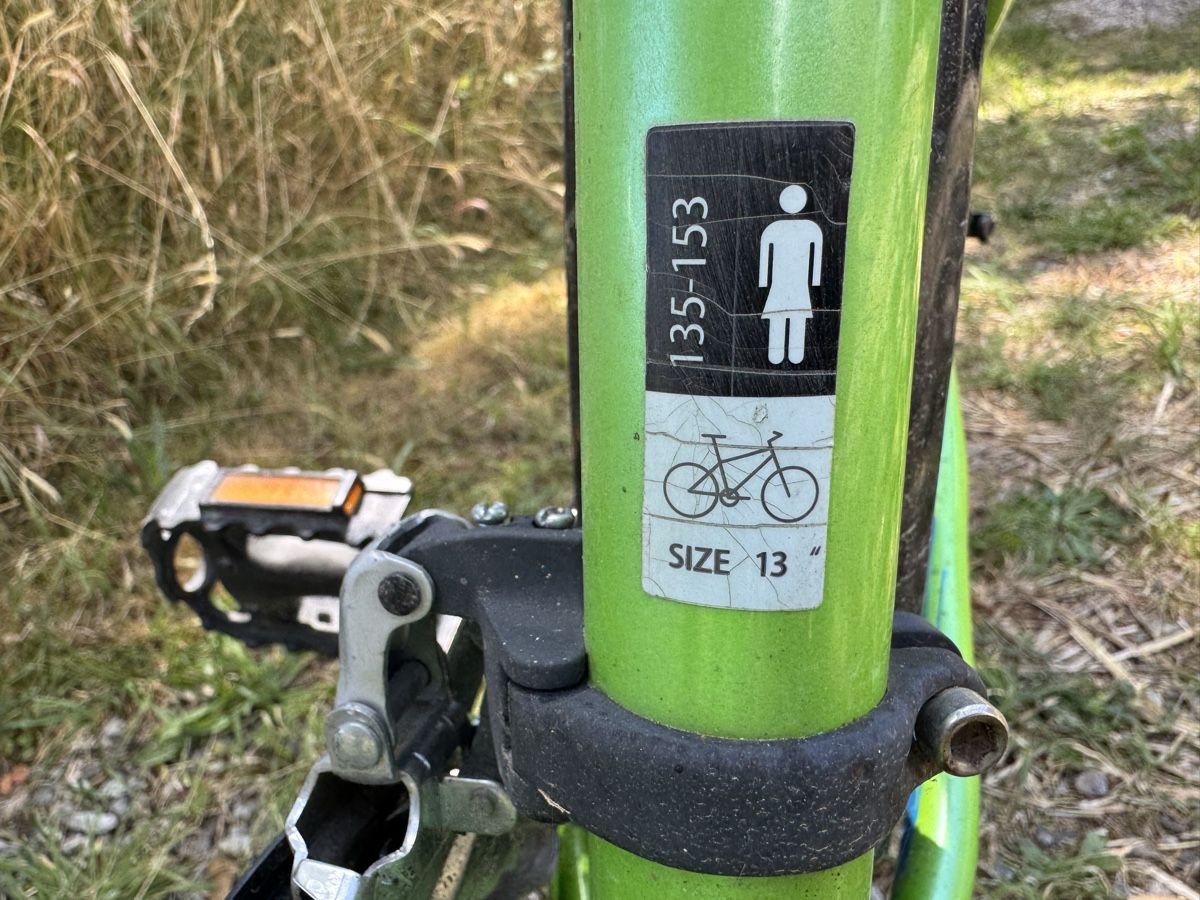 Bixs Vélos: Fahrrad Kind 135 - 153 cm – D'occasion à Diessbach b. Büren par Stefand 1
