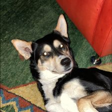 Profile image of Tom_Sawyer82