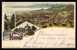Litho Heiden, Gesamtansicht aus der Voge