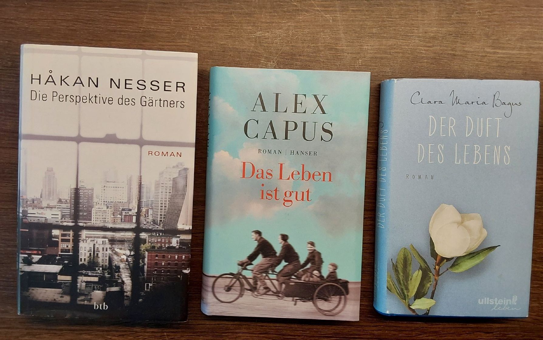 Libri: 3 Stück Bücher Hardcover – Usato da Köniz venduto da scopello12