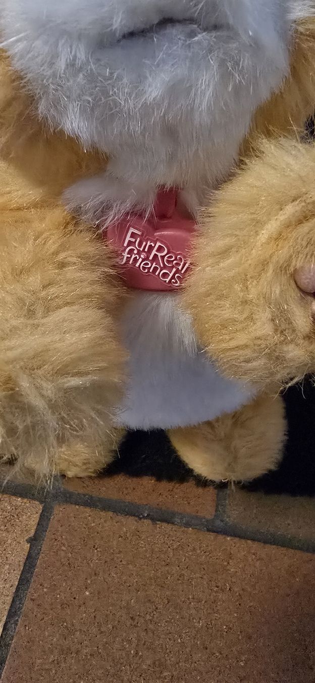 FurReal Jouets: FurReal Kätzchen "Daisy" – D'occasion à Basel par Nerea07 2