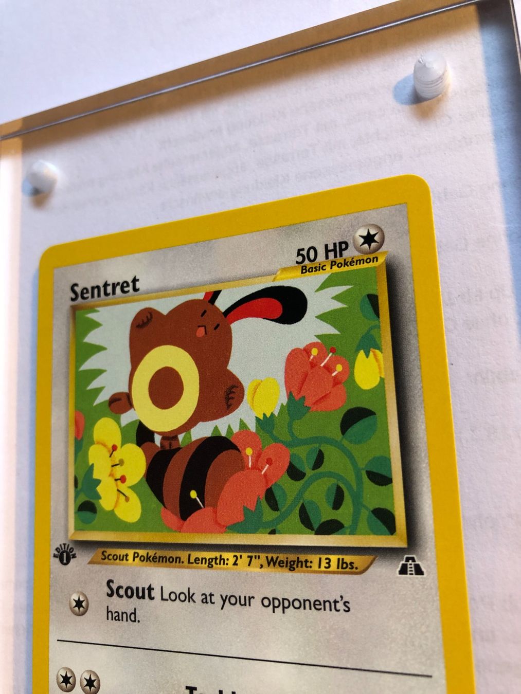 Carte collezionabili: Sentret 1st Neo Discovery - MINT - ab 1.- – Usato da Giubiasco venduto da dan_pr8b 3