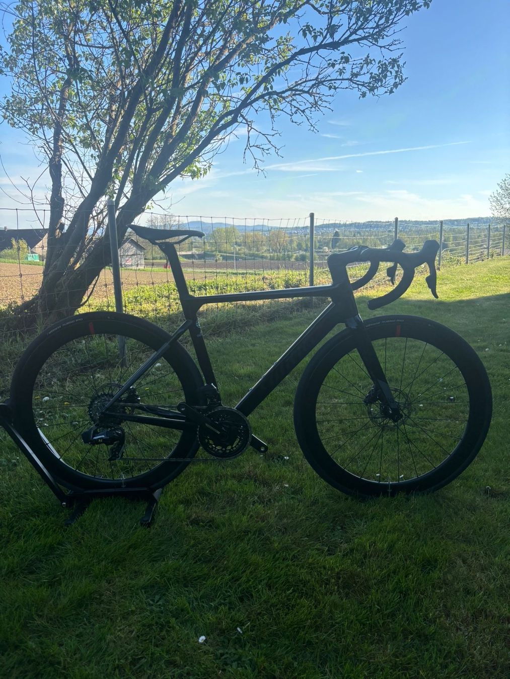 Wilier Biciclette: Wilier Filante sl – Nuovo (secondo la descrizione) da Winkel venduto da Ladina75 1