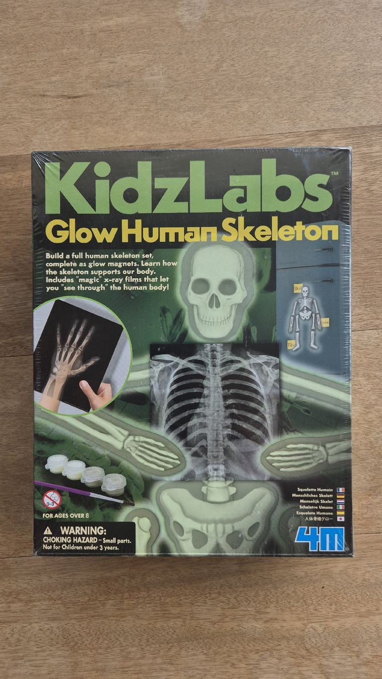 Giocattoli: Glow Human skeleton Experiment – Nuovo e nell'imballaggio originale da Erlenbach ZH venduto da lui_n2rl