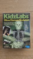 Glow Human skeleton Experiment