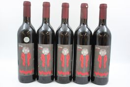 5x Stellenbosch Südafrika 2022 (26080367Z)