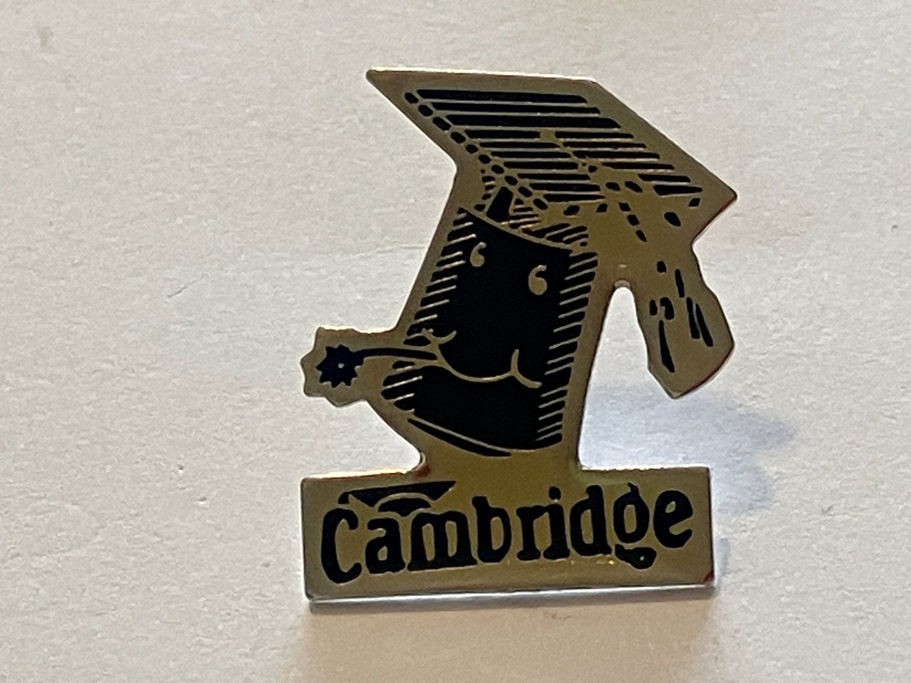 Placchette & Badge: 1 Pin Cambrigde – Usato da Basel venduto da djwwpp