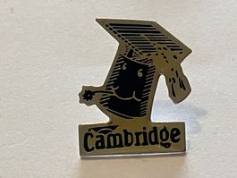 1 Pin Cambrigde