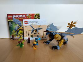 Lego Ninjago - Showdown mit dem Ninja-Drachen Riyu (71855)