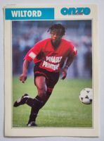 Fiche Sylvain Wiltord - Onze mondial