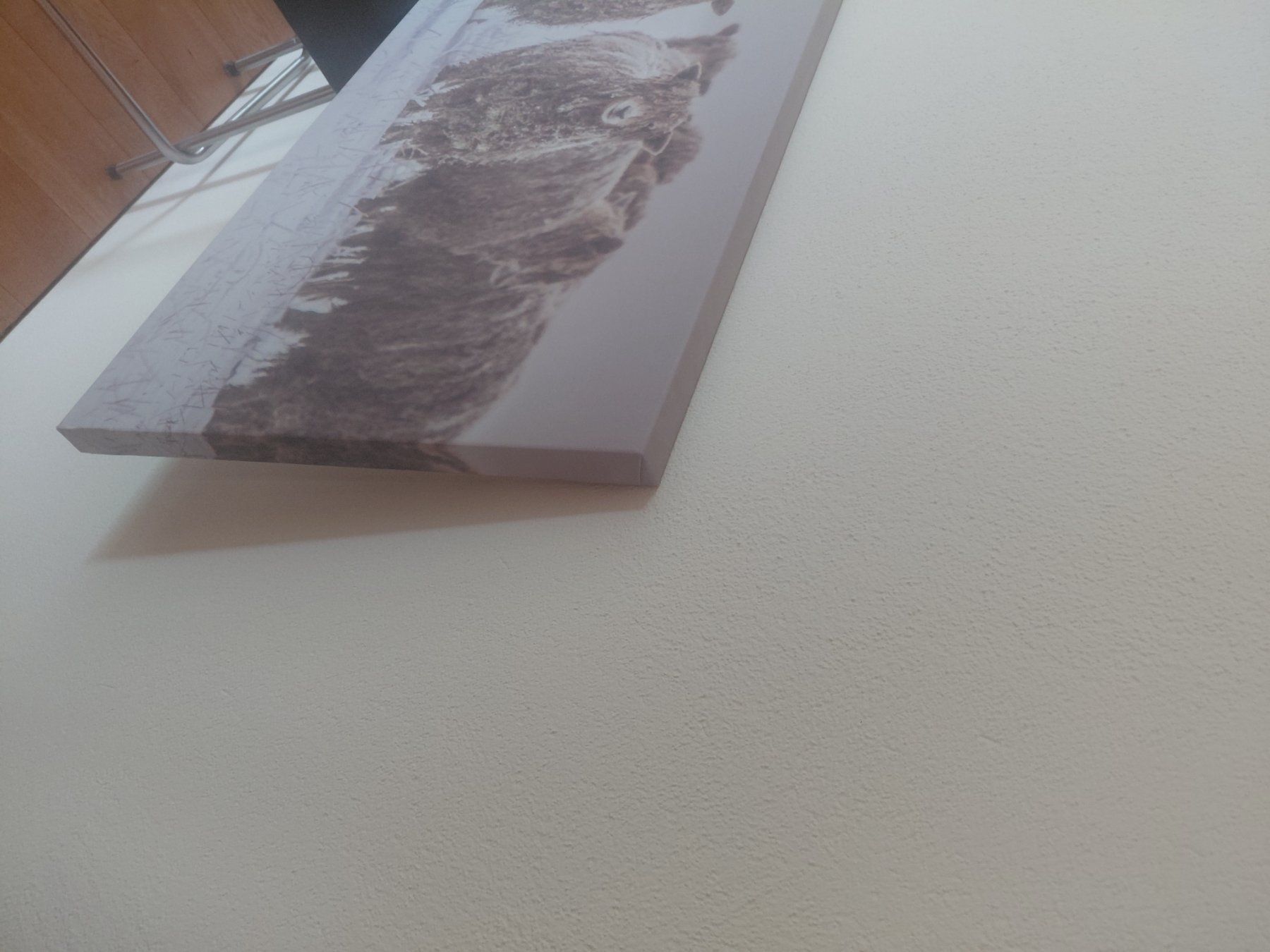 Poster & Bilder: Leinwand Druck einer Schafherde im Winter – Gebraucht aus Ebnet von Flaetsch 2