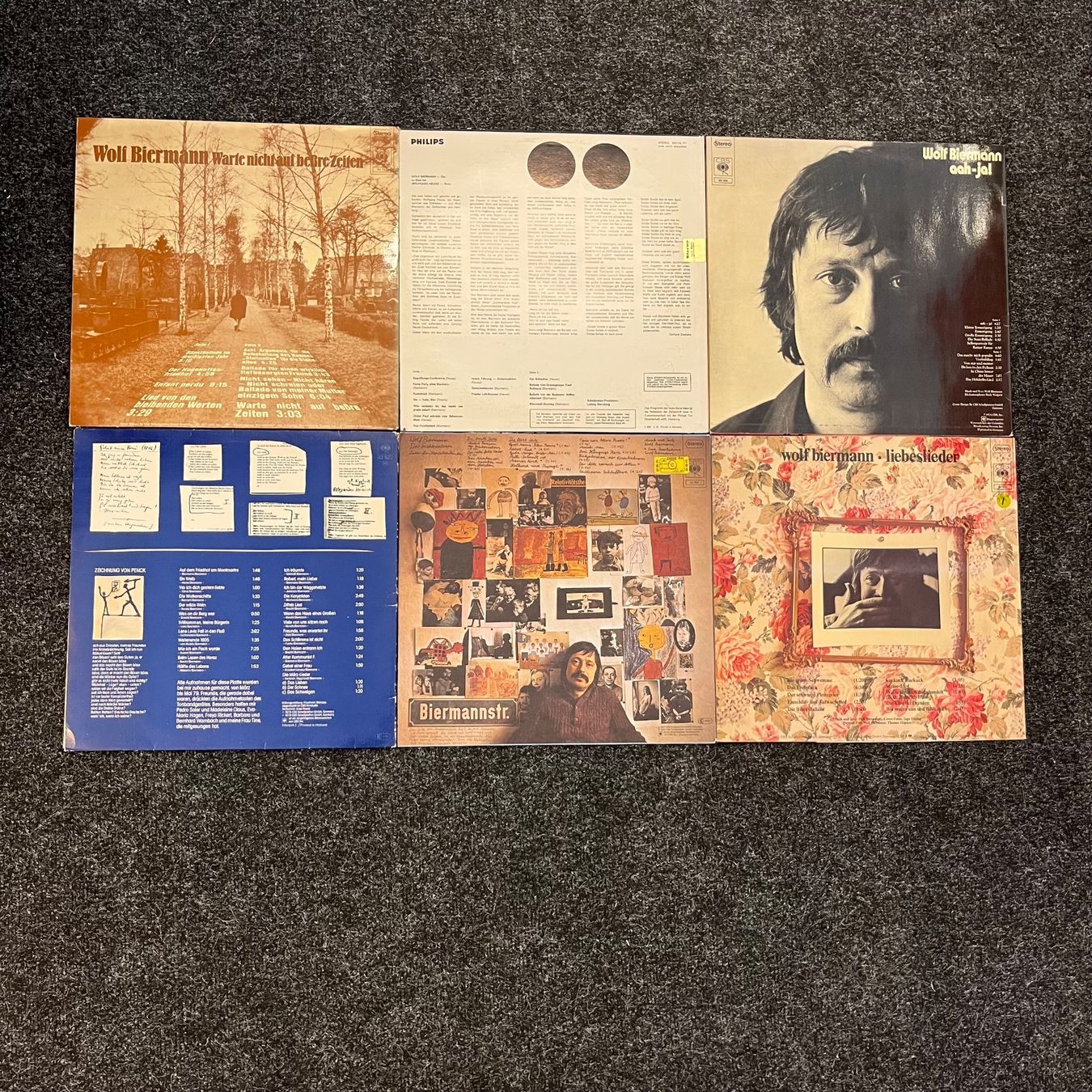 Dischi in vinile: Wolf Biermann Sammlung (6LP) – Usato da St.Gallen venduto da Out-take 1