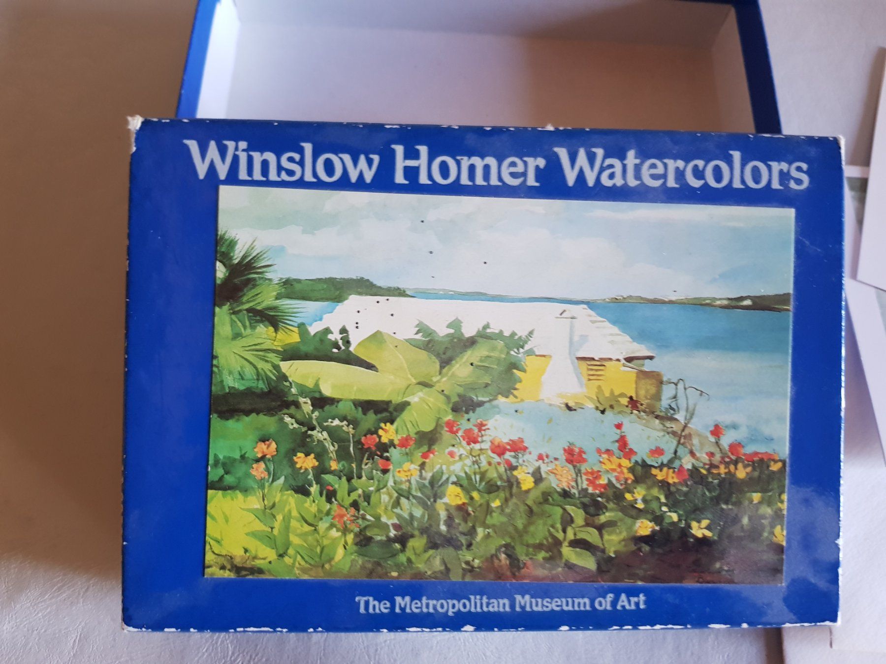 Cartoline: Winslow Homer Watercolors Karten Set – Usato da Walterswil BE venduto da Lonitti 1