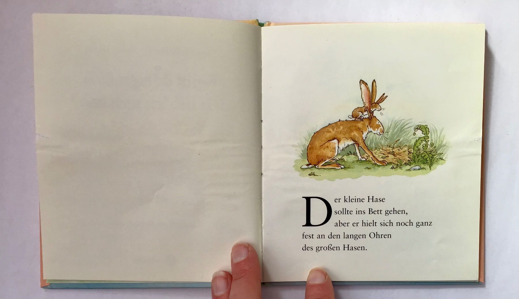 Libri: Weisst du eigentlich, wie lieb ich dich hab? – Usato da Bubendorf venduto da Alpenheidi 4