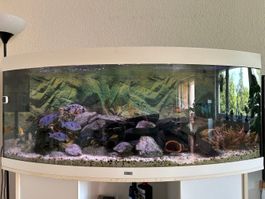 Aquarium Juwel Vision 450