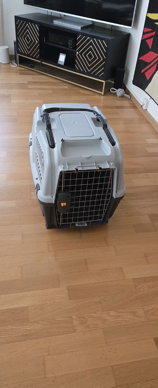Gabbie, trasporto & Sicurezza: Transportbox Skudo 4 S/M – Usato da Zollikerberg venduto da Thrisha