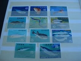 Satz Japan Fisch **