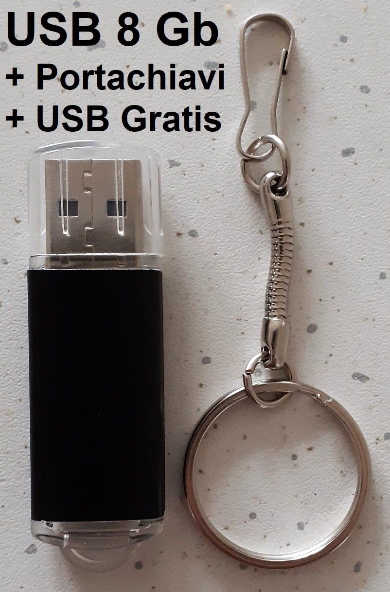 Strumenti musicali: Akkordeon / Mandoline  USB 8Gb + USB Gratis – Nuovo (secondo la descrizione) da Locarno venduto da Antonio41 1