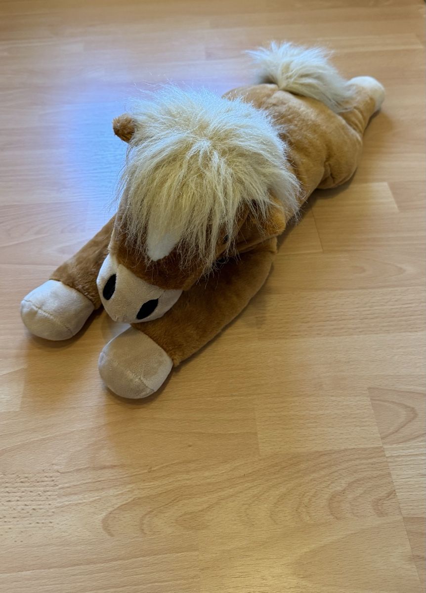 Giocattoli: Plüschtier Pony – Usato da Buckten venduto da Swissi06 1