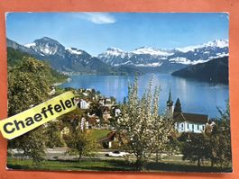 Ferienort Weggis mit Alpen, 1973