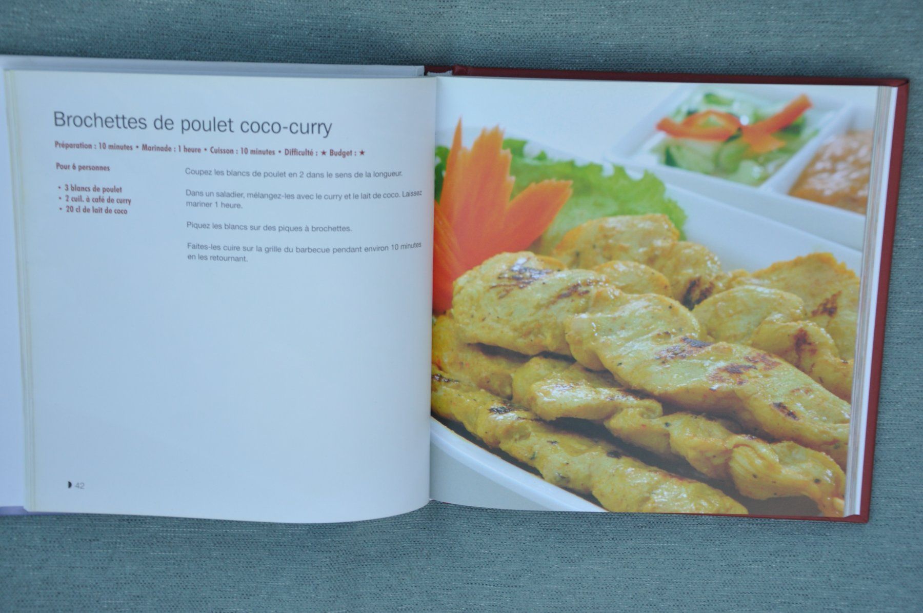 Libri: 140 recettes de grillades et barbecue – Usato da Fully venduto da Minouchka 1
