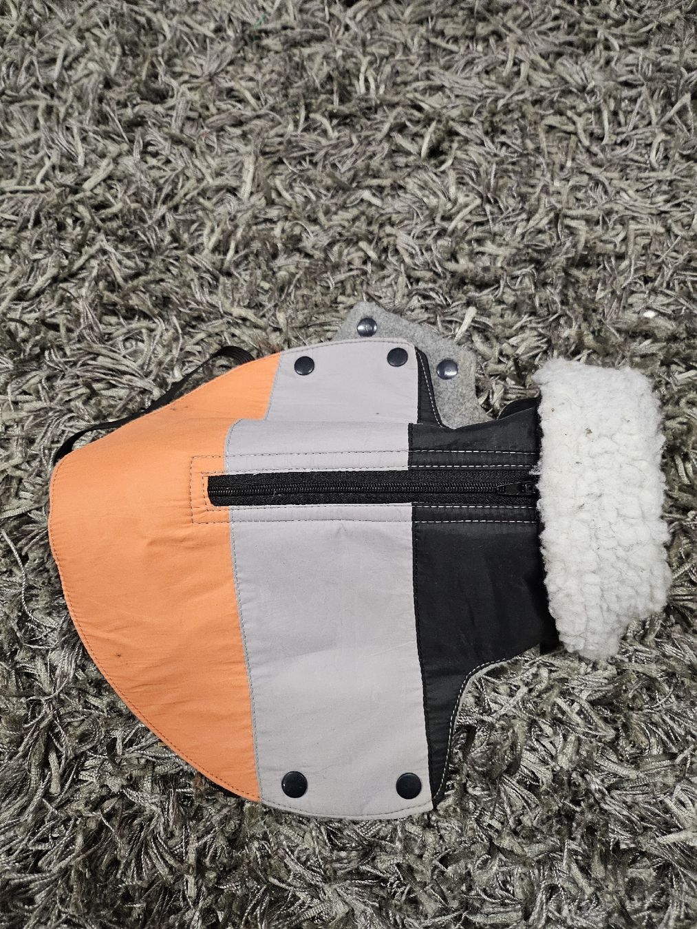 Bekleidung: Winterjacke/ Regenjacke chihuahua – Neu (gemäss Beschreibung) aus Zürich von iwa_7wfj