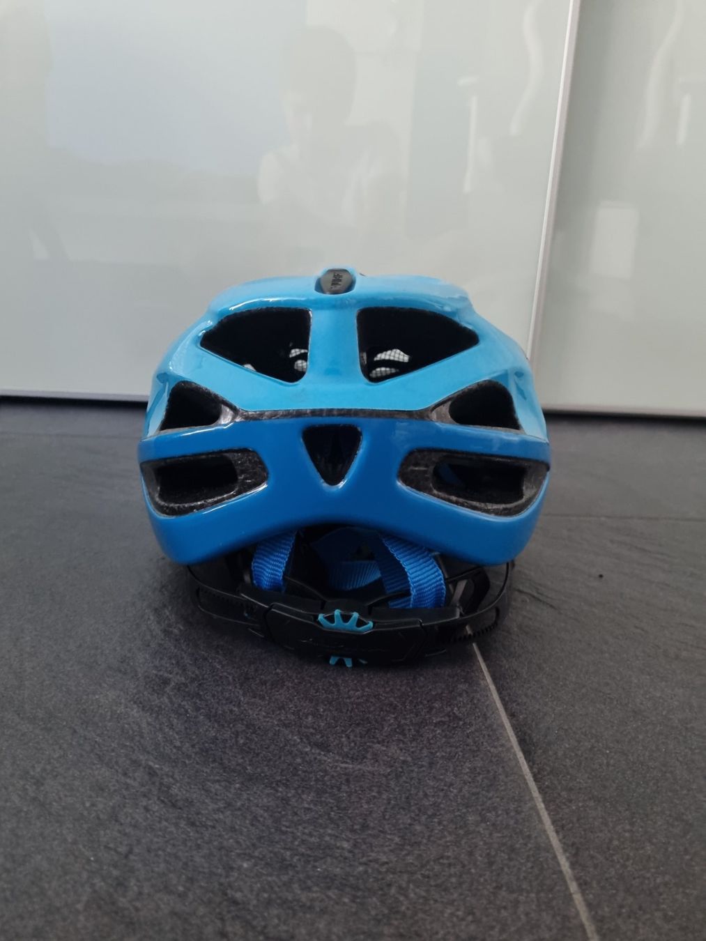 Alpina Caschi: Alpina Velohelm grösse 52-57 – Usato da Nürensdorf venduto da jupiter74 1