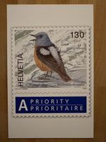 AK mit Tier Briefmarken Motiv von Eva Ch. Weber