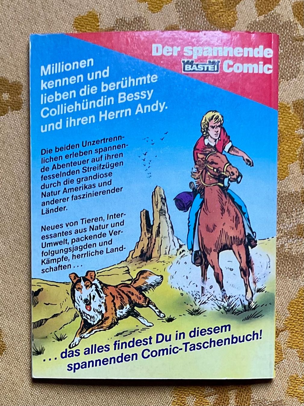 Fumetti: Bessy Taschenbuch Nr 18 – Usato da Endingen venduto da nathan05 9
