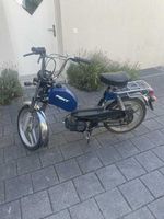 Pony GTX Jahrgang 2022