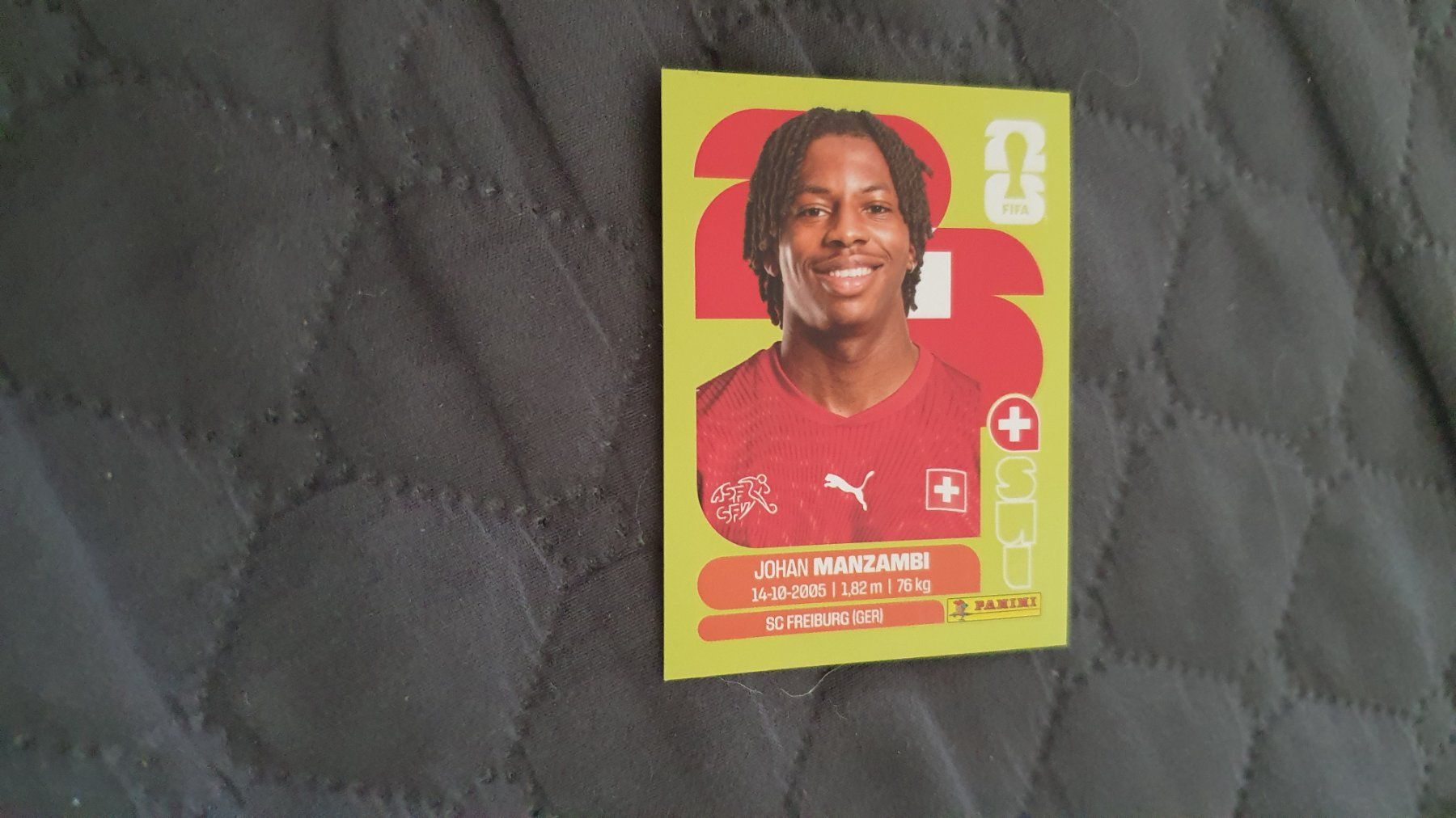 Panini Carte collezionabili: Panini Sticker WM 2026 - SUI 15 – Nuovo (secondo la descrizione) da Beromünster venduto da boeggy