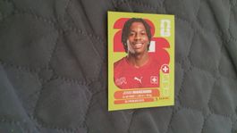 Panini Sticker WM 2026 - SUI 15