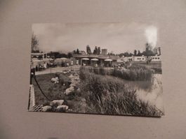 Karte Knie Kinderzoo Rapperswil SG 1962