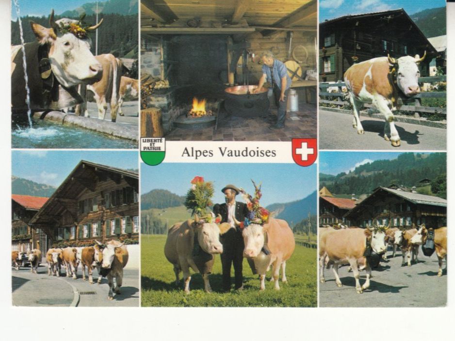 Cartoline postali: Vaudoises Alp 2000 – Usato da Bürglen TG venduto da StampGraf