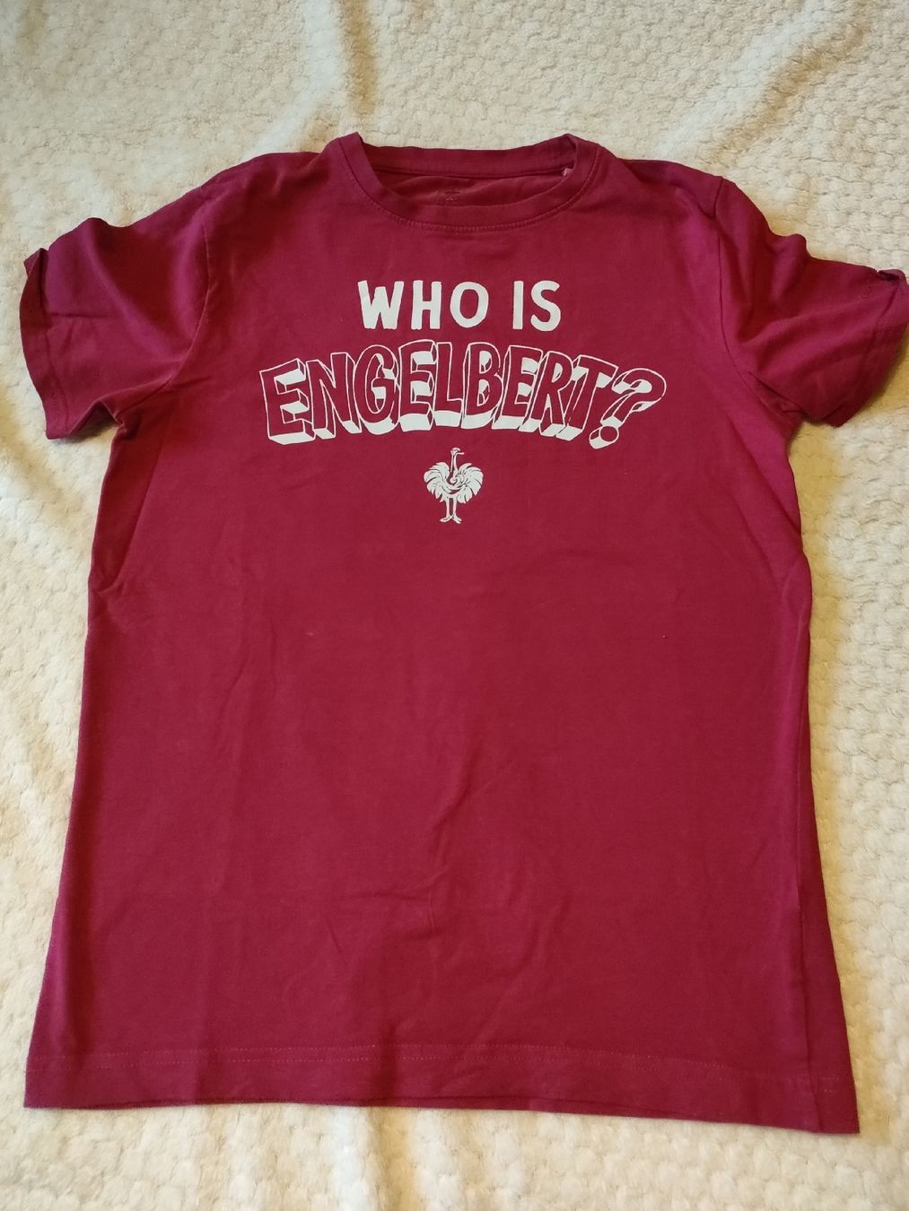 Engelbert Strauss Camicette, T-shirt & Top: Engelbert Strauss T'shirt – Usato da Scheunen venduto da klare2 1
