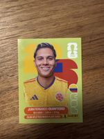 Panini Fifa COL 15