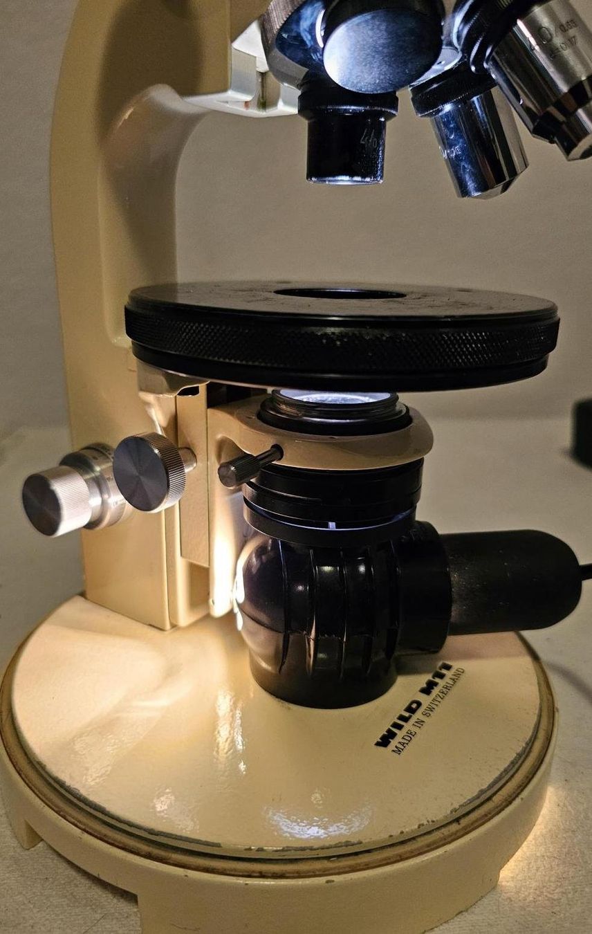 Wild Microscopi: Wild Heerbrugg M11 Mikroskop  / microscope – Usato da Collonges venduto da arashee 9