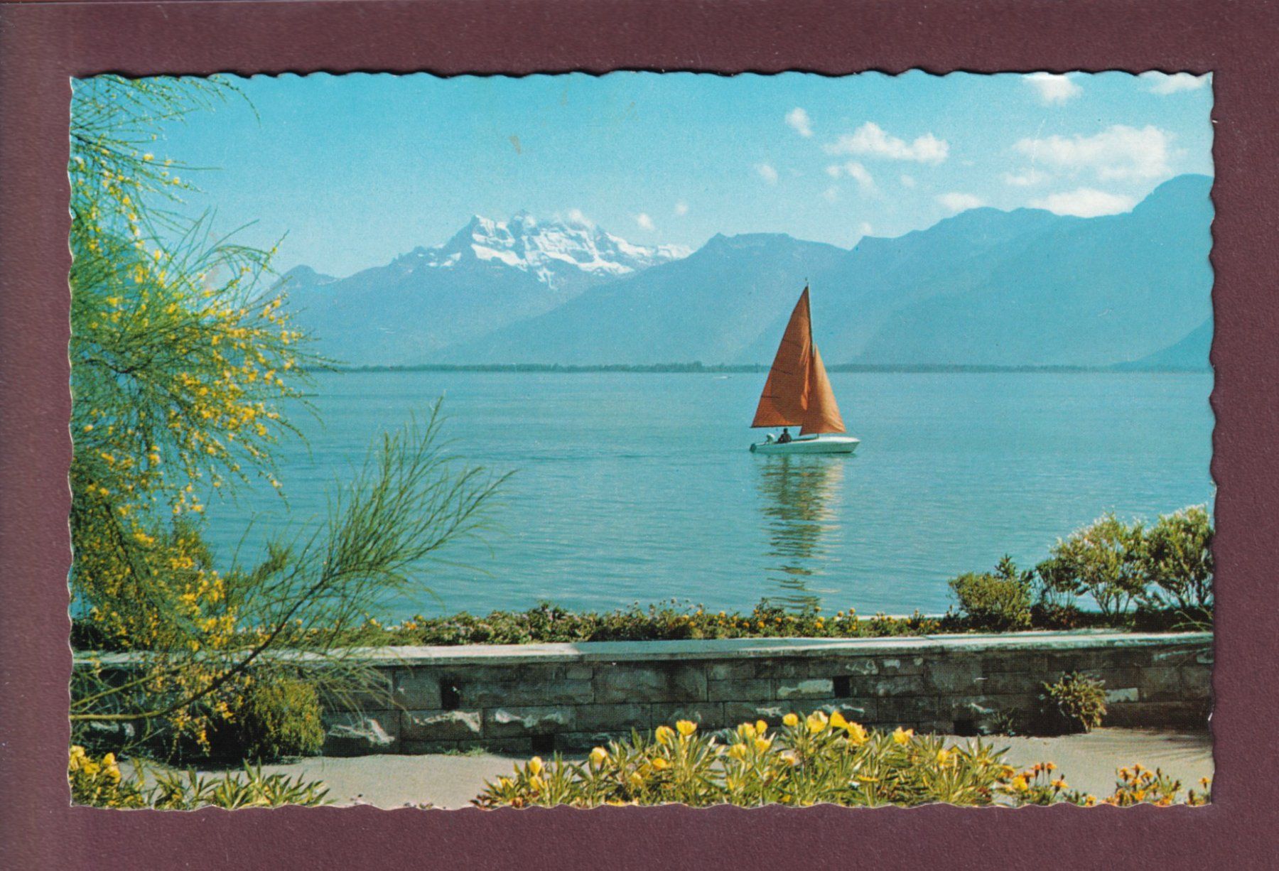 Cartes postales: LAC LEMAN - Dents du Midi - 1976 – D'occasion à Pully par nicecards