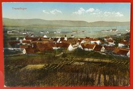 Trasadingen 1919