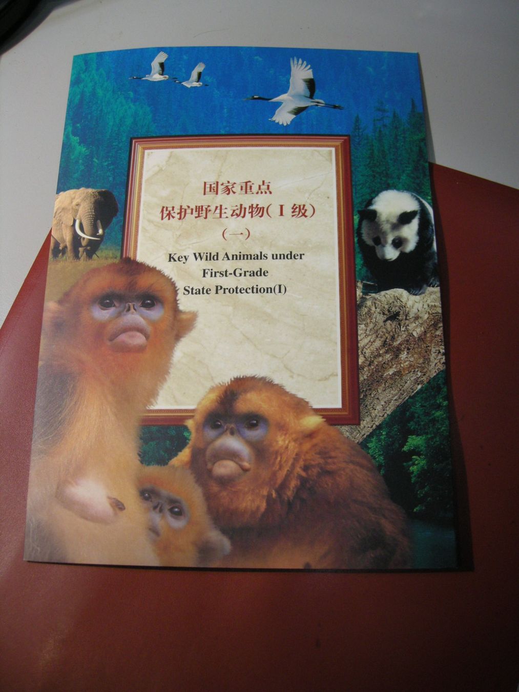 Tutti i francobolli: 2000, CHINA- KLEINBOGEN, WILDLEBENDE TIERE, POSTFRISCH – Usato da Eschenbach SG venduto da eDaisy 1